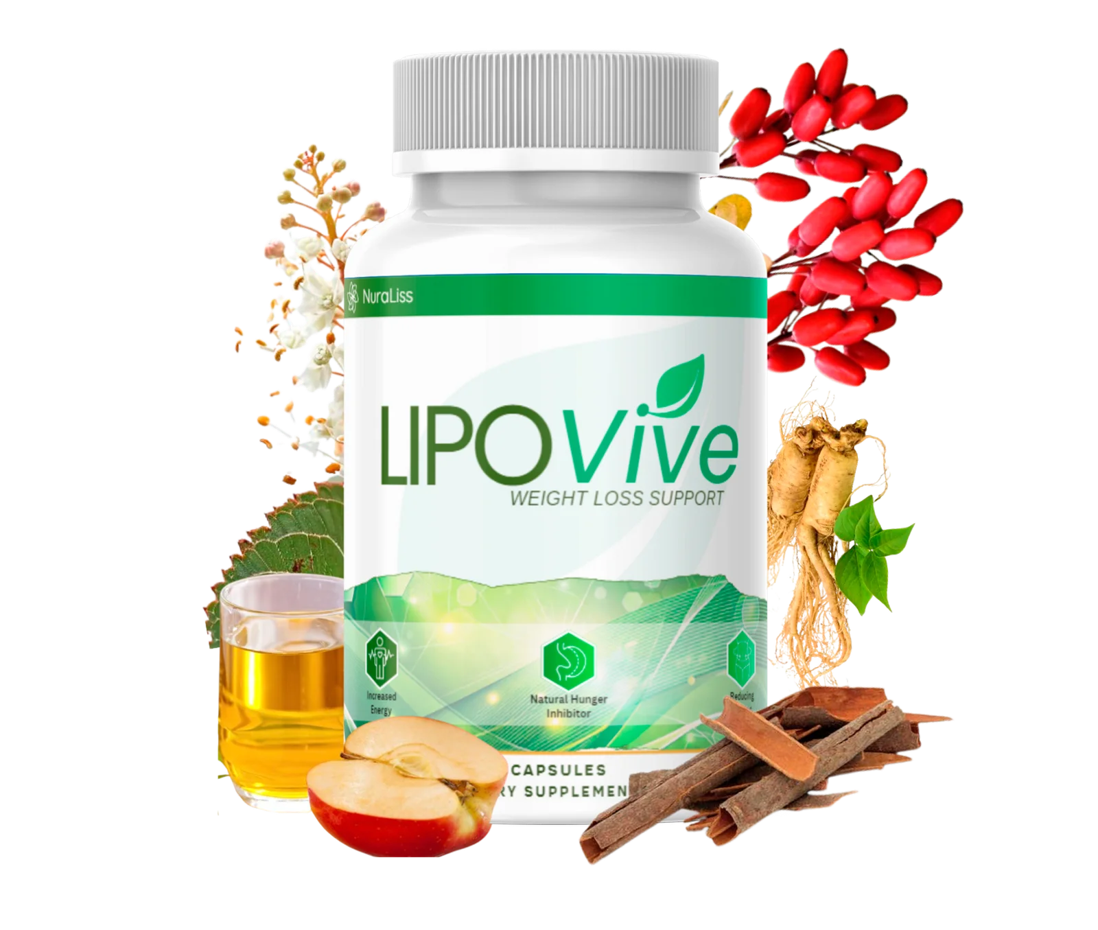 LipoVive Metabolism Support Supplement